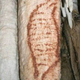 Illustration for article titled Neanderthals were apparently painting DNA 43,000 years ago